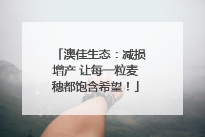 澳佳生态：减损增产 让每一粒麦穗都饱含希望！