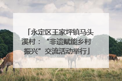 永定区王家坪镇马头溪村：“非遗赋能乡村振兴”交流活动举行