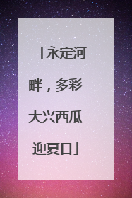 永定河畔，多彩大兴西瓜迎夏日