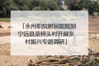 永州职院附属医院到宁远县桑梓头村开展乡村振兴专题调研