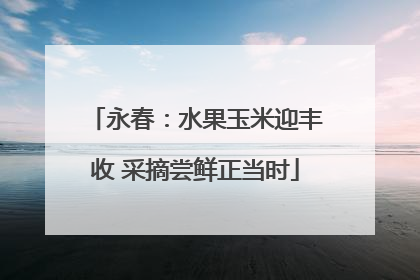 永春：水果玉米迎丰收 采摘尝鲜正当时