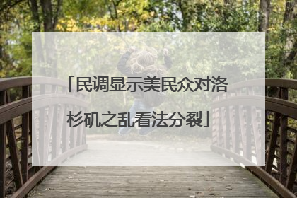 民调显示美民众对洛杉矶之乱看法分裂