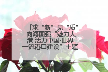 求“新”见“质” 向海图强“魅力大港 活力中国·世界一流港口建设”主题宣传活动走进山东