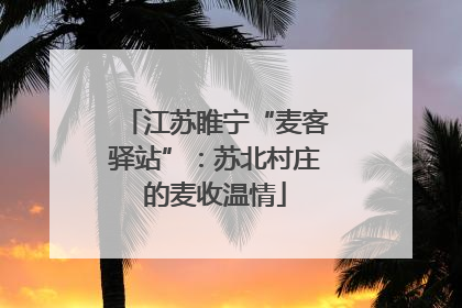 江苏睢宁“麦客驿站”：苏北村庄的麦收温情