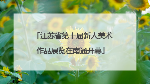 江苏省第十届新人美术作品展览在南通开幕