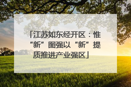 江苏如东经开区：惟“新”图强以“新”提质推进产业强区
