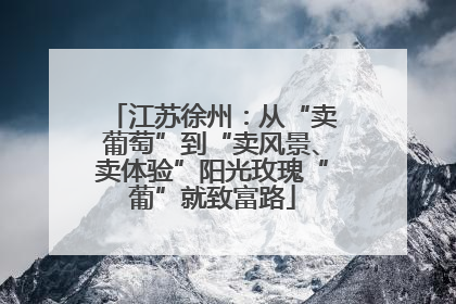 江苏徐州：从“卖葡萄”到“卖风景、卖体验”阳光玫瑰“葡”就致富路