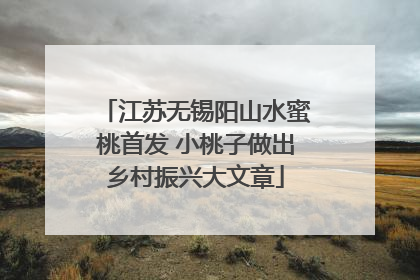 江苏无锡阳山水蜜桃首发 小桃子做出乡村振兴大文章