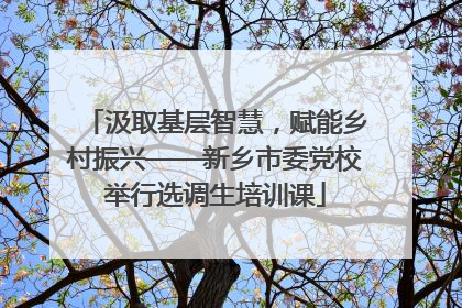 汲取基层智慧，赋能乡村振兴——新乡市委党校举行选调生培训课