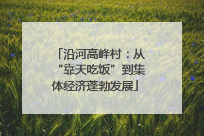 沿河高峰村：从“靠天吃饭”到集体经济蓬勃发展