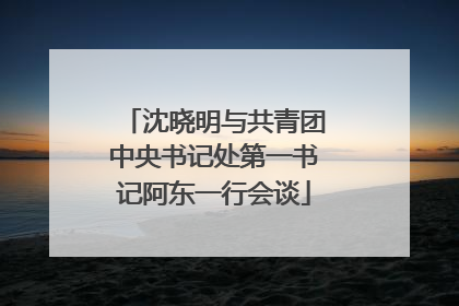 沈晓明与共青团中央书记处第一书记阿东一行会谈