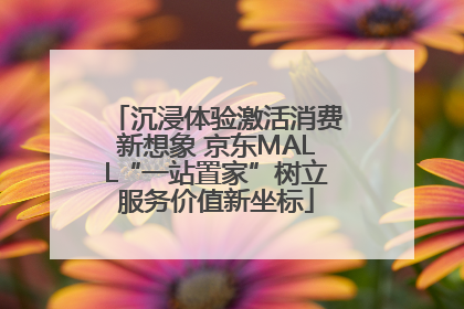 沉浸体验激活消费新想象 京东MALL“一站置家”树立服务价值新坐标