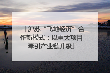 沪苏“飞地经济”合作新模式：以重大项目牵引产业链升级
