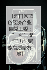 河口区蓝色经济产业园党工委：“三强”提“三力”赋能高质量发展