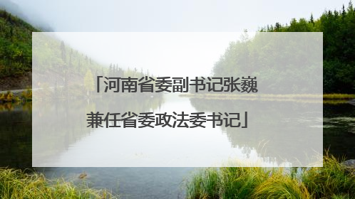 河南省委副书记张巍兼任省委政法委书记