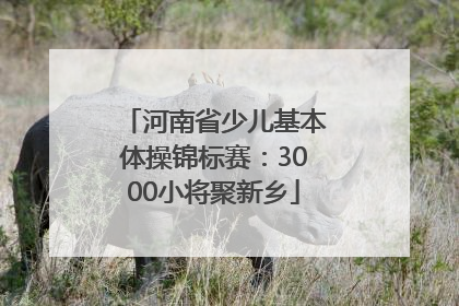 河南省少儿基本体操锦标赛：3000小将聚新乡