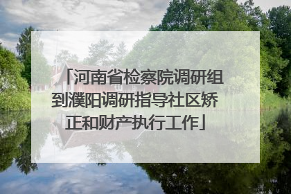 河南省检察院调研组到濮阳调研指导社区矫正和财产执行工作