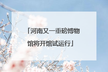 河南又一重磅博物馆将开馆试运行