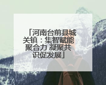 河南台前县城关镇：集智赋能聚合力 凝聚共识促发展