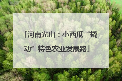 河南光山：小西瓜“撬动”特色农业发展路