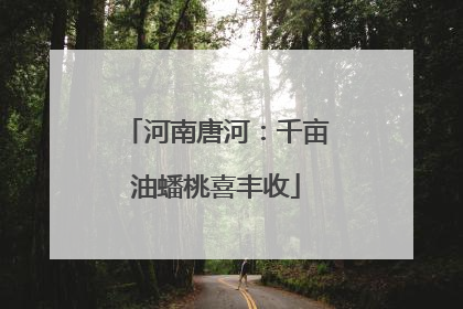 河南唐河：千亩油蟠桃喜丰收