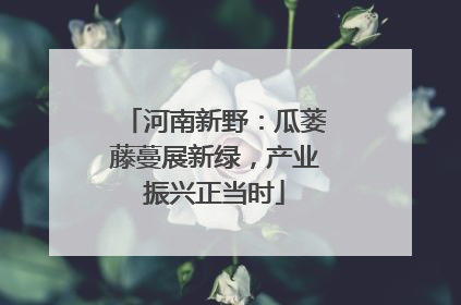 河南新野：瓜蒌藤蔓展新绿，产业振兴正当时