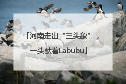 河南走出“三头象”，一头驮着Labubu