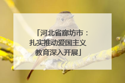 河北省廊坊市：扎实推动爱国主义教育深入开展