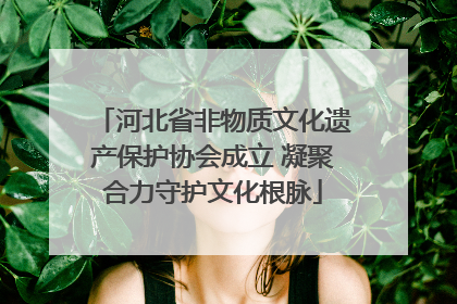 河北省非物质文化遗产保护协会成立 凝聚合力守护文化根脉