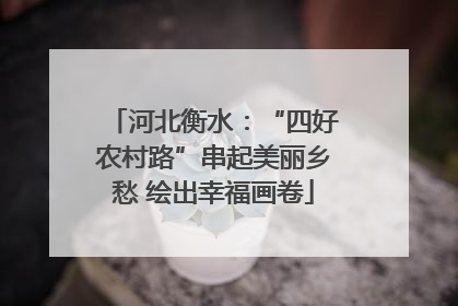 河北衡水：“四好农村路”串起美丽乡愁 绘出幸福画卷