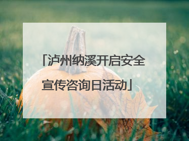 泸州纳溪开启安全宣传咨询日活动