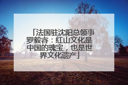 法国驻沈阳总领事罗毅睿：红山文化是中国的瑰宝，也是世界文化遗产
