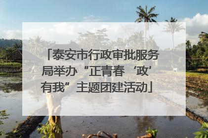 泰安市行政审批服务局举办“正青春‘政’有我”主题团建活动