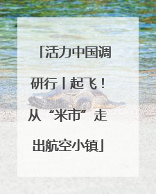 活力中国调研行丨起飞！从“米市”走出航空小镇