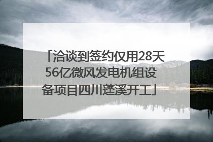 洽谈到签约仅用28天 56亿微风发电机组设备项目四川蓬溪开工