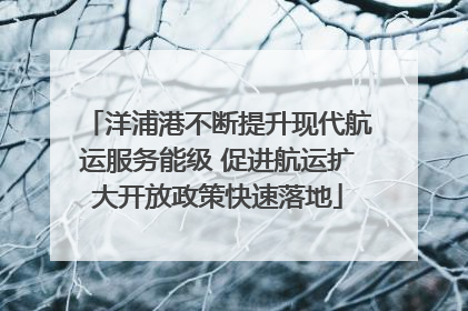 洋浦港不断提升现代航运服务能级 促进航运扩大开放政策快速落地