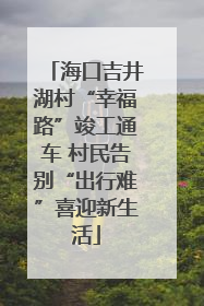 海口吉井湖村“幸福路”竣工通车 村民告别“出行难”喜迎新生活