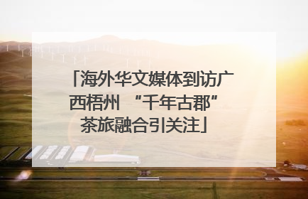 海外华文媒体到访广西梧州 “千年古郡”茶旅融合引关注