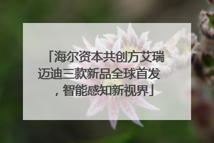 海尔资本共创方艾瑞迈迪三款新品全球首发，智能感知新视界