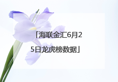 海联金汇6月25日龙虎榜数据