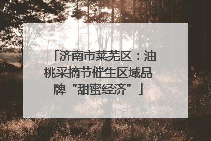 济南市莱芜区：油桃采摘节催生区域品牌“甜蜜经济”