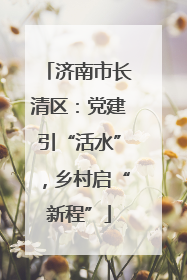 济南市长清区：党建引“活水”，乡村启“新程”
