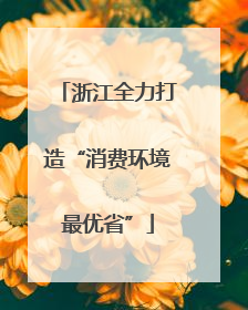 浙江全力打造“消费环境最优省”