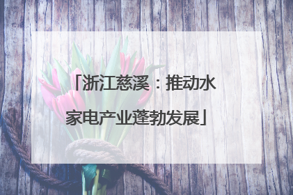 浙江慈溪：推动水家电产业蓬勃发展
