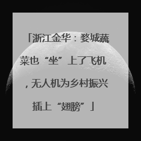 浙江金华：婺城蔬菜也“坐”上了飞机，无人机为乡村振兴插上“翅膀”