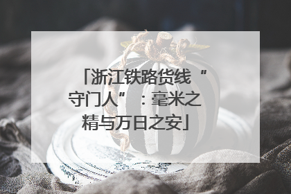 浙江铁路货线“守门人”：毫米之精与万日之安