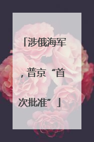 涉俄海军，普京“首次批准”