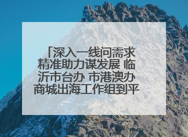 深入一线问需求 精准助力谋发展 临沂市台办 市港澳办商城出海工作组到平邑县走访调研