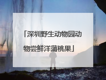 深圳野生动物园动物尝鲜洋蒲桃果