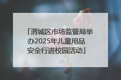 渭城区市场监管局举办2025年儿童用品安全行进校园活动